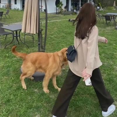印痕